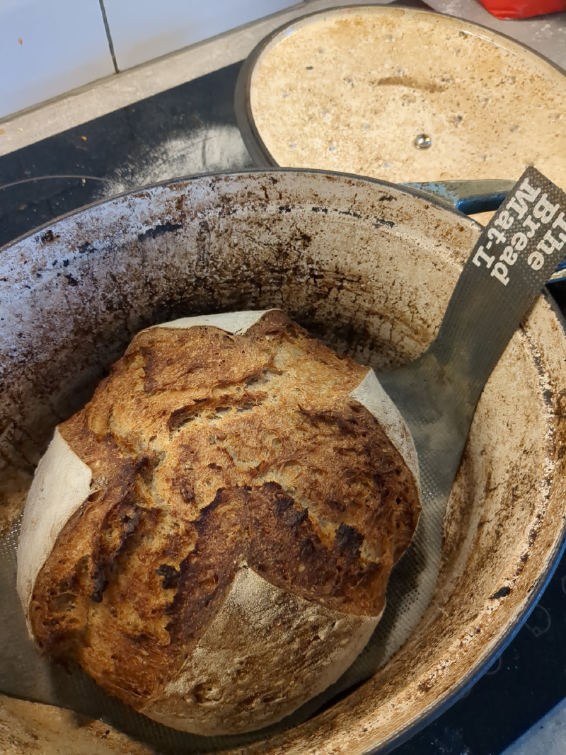 bread