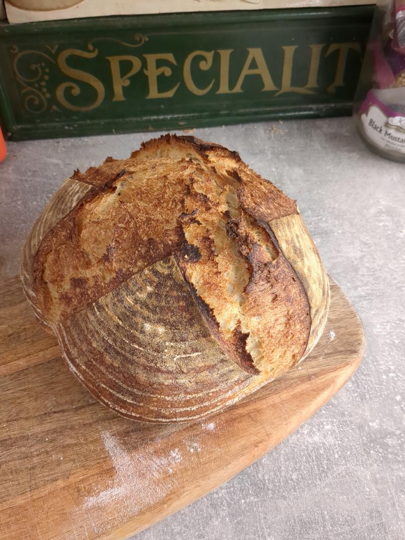 A freshly baked sourdough loaf sitting on a wooden cutting board